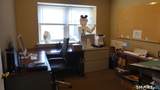 23 Amity Road - Photo 14