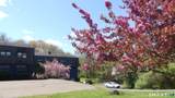 23 Amity Road - Photo 24