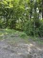 319 White Oak Trail - Photo 3