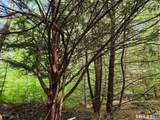  Davis Road - Photo 7