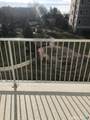 300 Harbour Close - Photo 17