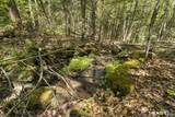 321 Colebrook Road - Photo 19