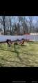 83 Poplar Drive - Photo 3