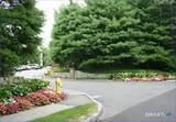 50 Aiken Street - Photo 15