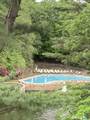 50 Aiken Street - Photo 10