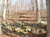 Rte 39 South, State Route - Photo 8