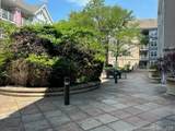 488 Bedford Street - Photo 3