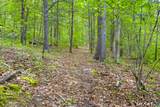 156 Cranberry Bog Road - Photo 6