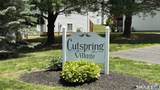 1260 Cutspring Road - Photo 28