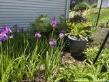 105 Meadow Wood Road - Photo 34