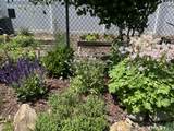 105 Meadow Wood Road - Photo 35