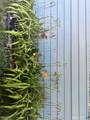 47 Robin Street - Photo 27