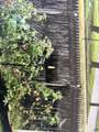 47 Robin Street - Photo 29