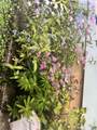 47 Robin Street - Photo 30
