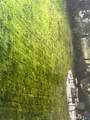 47 Robin Street - Photo 37