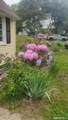30 Sunset Avenue - Photo 14