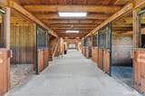 176 Shailor Hill Road - Photo 15