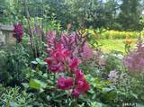 36 Creeping Hemlock Drive - Photo 31
