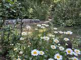 36 Creeping Hemlock Drive - Photo 33