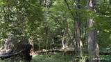 79 Windham Center Road - Photo 13