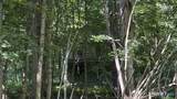 79 Windham Center Road - Photo 14