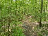 Parcel A Old Moose Hill Road - Photo 11