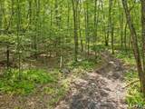 Parcel A Old Moose Hill Road - Photo 5