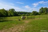 85 East Street - Photo 20