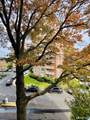 71 Strawberry Hill Avenue - Photo 21