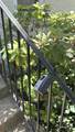 134 Summer Street - Photo 19