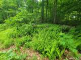 17 (Lot 2) Secret Mountain Trail - Photo 4