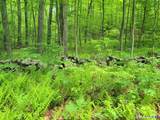 17 (Lot 2) Secret Mountain Trail - Photo 5
