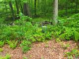 17 (Lot 2) Secret Mountain Trail - Photo 6