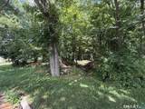 7 Flora Street - Photo 2