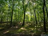 81 Mountain Road - Photo 13