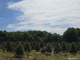 11 Bunker Hill Road - Photo 7