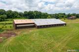1669 Kensington Road - Photo 14