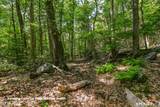  Ashley Road - Photo 10
