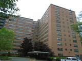 31 Woodland Street - Photo 1