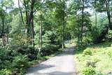 35 Pigeon Swamp #2 Road - Photo 11