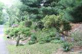 35 Pigeon Swamp #2 Road - Photo 13