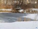 179 Route 81 - Photo 3