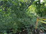 142 Wilkinson Street - Photo 32