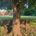 150 Burritt Street - Photo 26