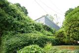 157 Cherry Street - Photo 10