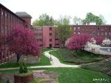 222 Williams Street - Photo 22