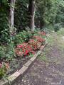 260 Burlington Avenue - Photo 13