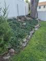 7 Peter Street - Photo 34