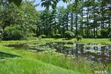 365 Mather Street - Photo 18
