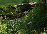 27 Meadow Road - Photo 31